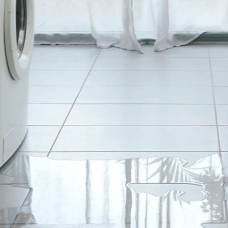 Appliance Leak Cleanup in Syracuse, IN