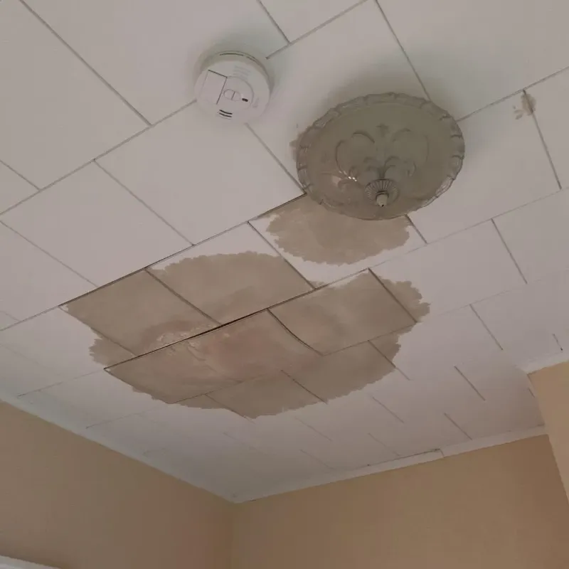 Ceiling Water Damage Repair in Syracuse, IN