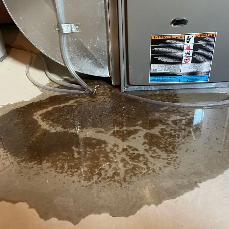 Pipe Burst and Leak Restoration in Syracuse, IN
