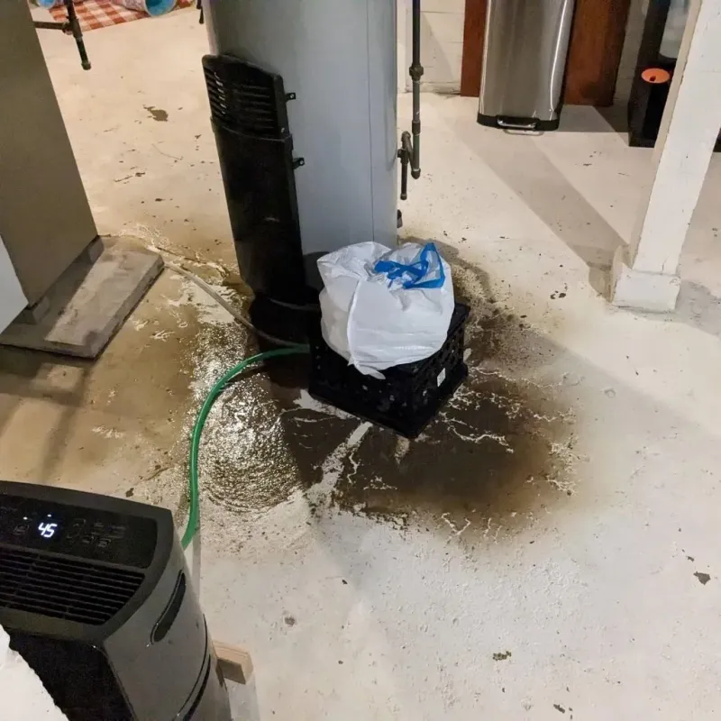 Sewage Backup Cleanup Service in Syracuse, IN